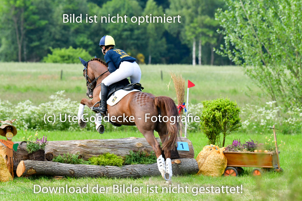 Goldene Schärpe Ponys in Löningen  4+5.6.22 | 04062022 - Gelände  2 Abt _653 