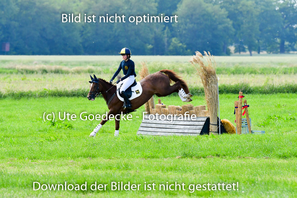 Goldene Schärpe Ponys in Löningen  4+5.6.22 | 04062022 - Gelände  2 Abt _654 