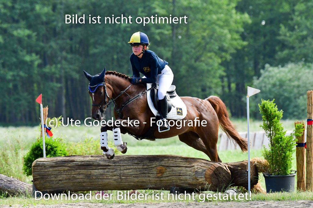Goldene Schärpe Ponys in Löningen  4+5.6.22 | 04062022 - Gelände  2 Abt _659 