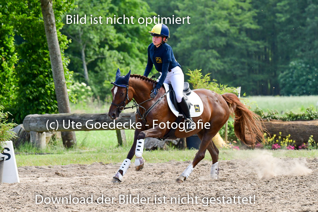 Goldene Schärpe Ponys in Löningen  4+5.6.22 | 04062022 - Gelände  2 Abt _661 