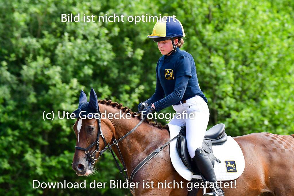 Goldene Schärpe Ponys in Löningen  4+5.6.22 | 04062022 - Gelände  2 Abt _663 