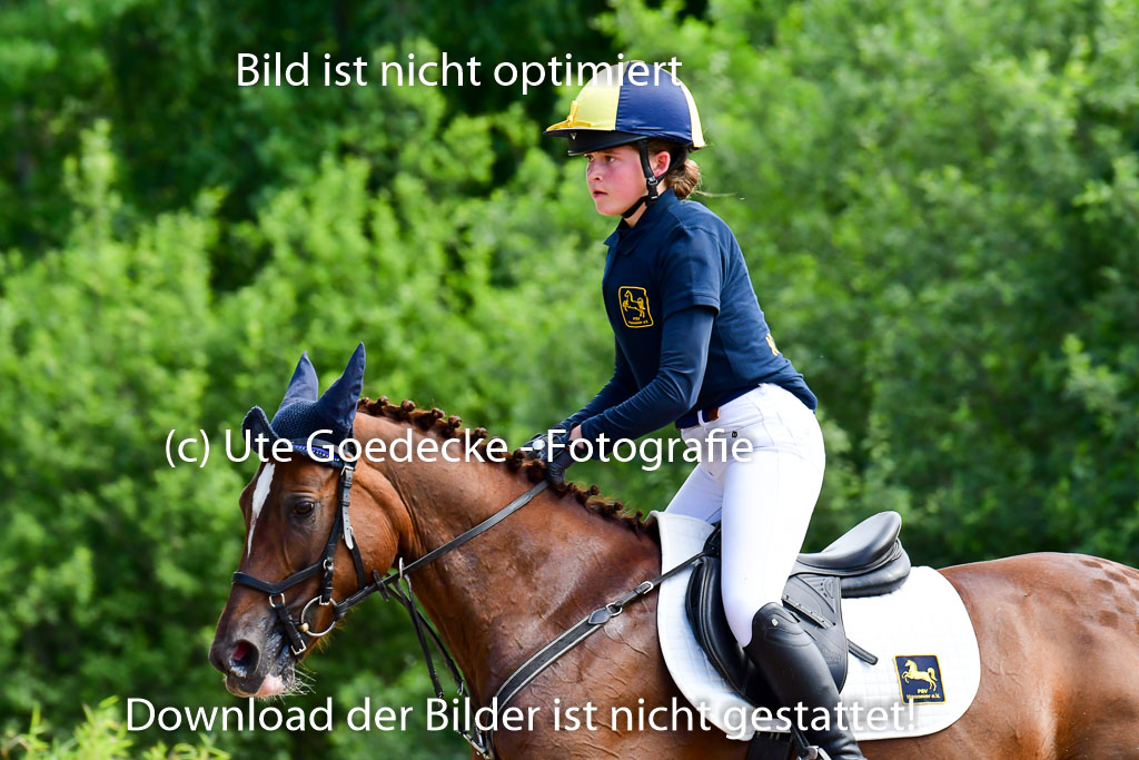 Goldene Schärpe Ponys in Löningen  4+5.6.22 | 04062022 - Gelände  2 Abt _664 