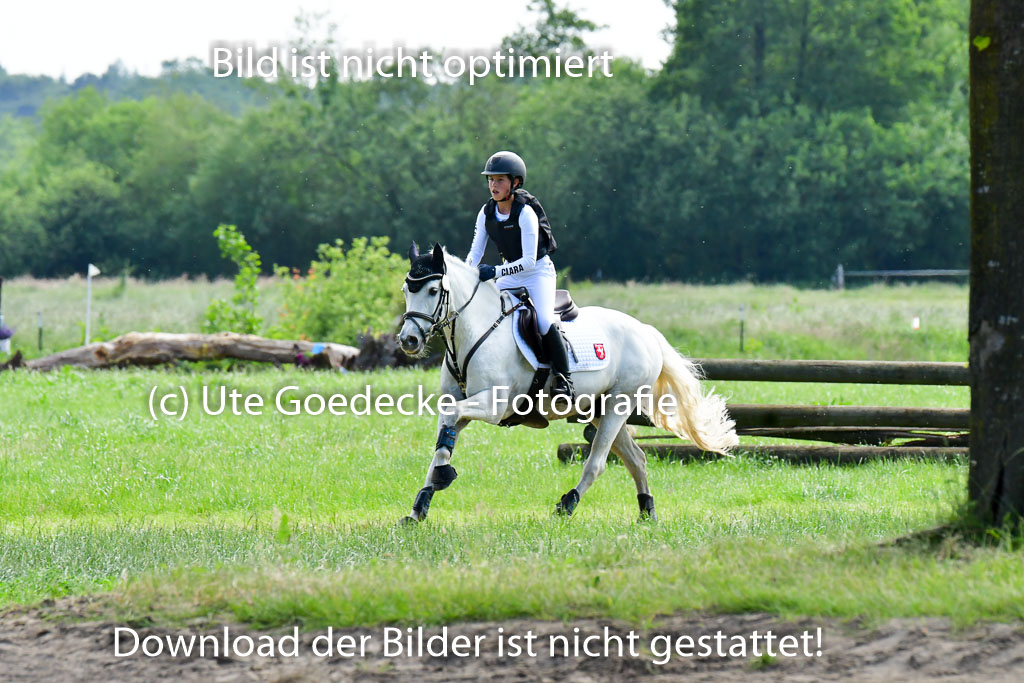 Goldene Schärpe Ponys in Löningen  4+5.6.22 | 04062022 - Gelände  2 Abt _674 