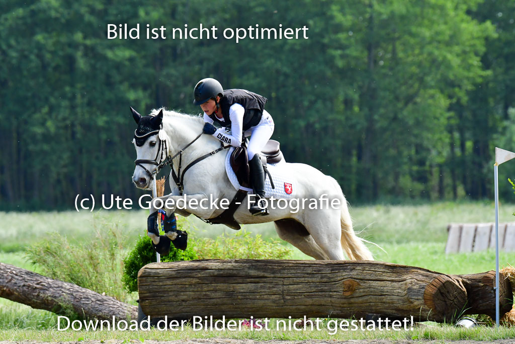 Goldene Schärpe Ponys in Löningen  4+5.6.22 | 04062022 - Gelände  2 Abt _677 