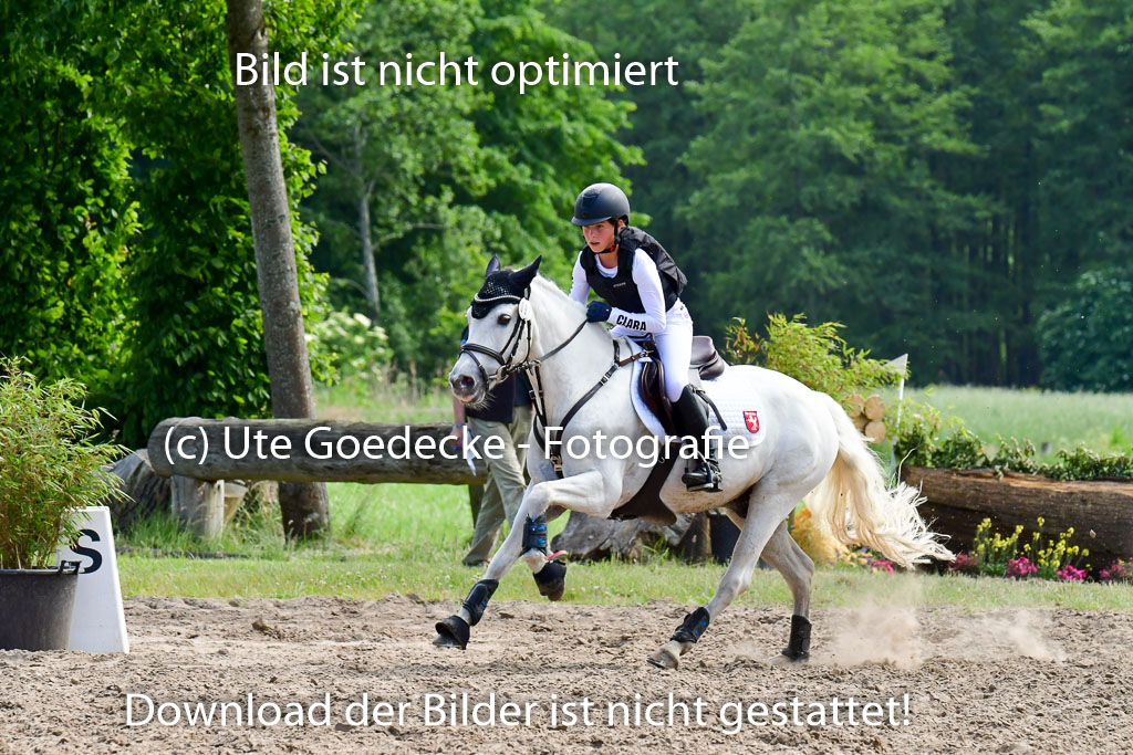 Goldene Schärpe Ponys in Löningen  4+5.6.22 | 04062022 - Gelände  2 Abt _678 