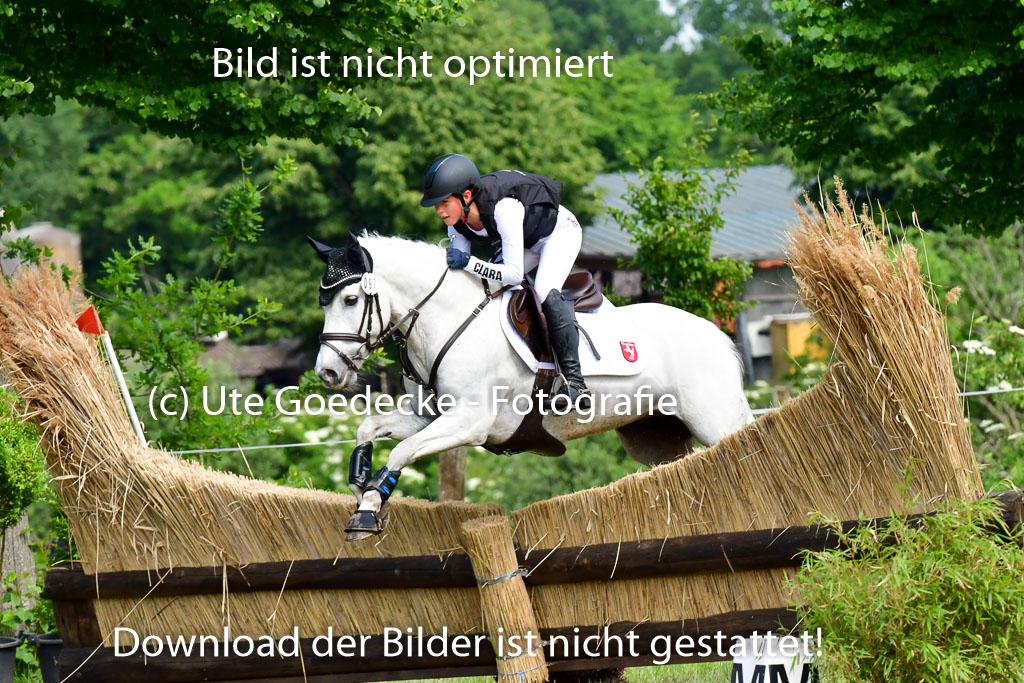 Goldene Schärpe Ponys in Löningen  4+5.6.22 | 04062022 - Gelände  2 Abt _683 