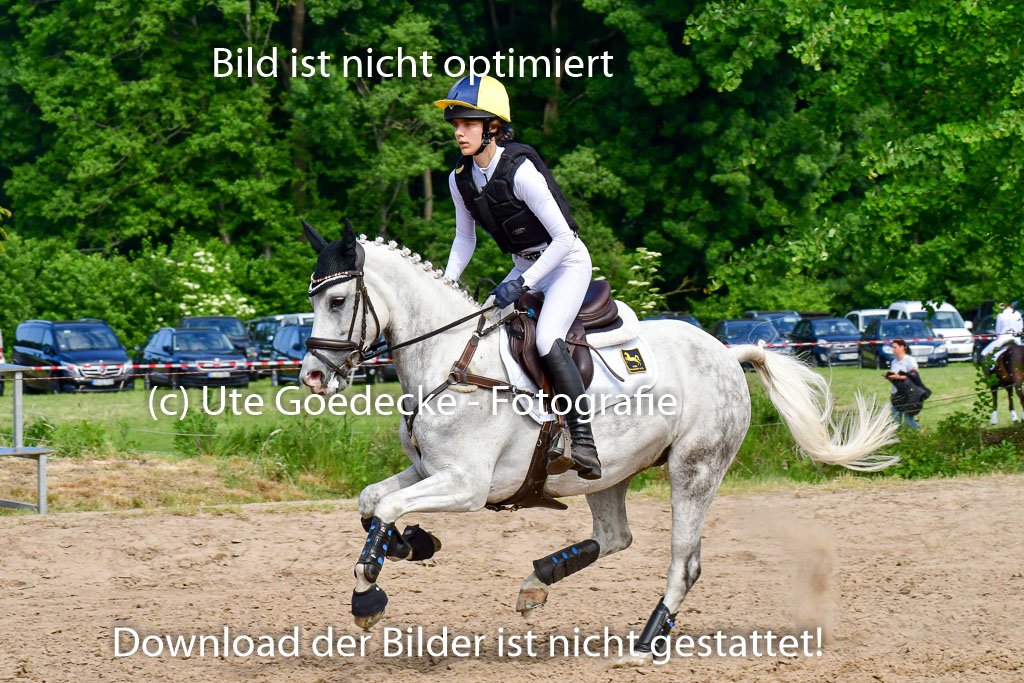 Goldene Schärpe Ponys in Löningen  4+5.6.22 | 04062022 - Gelände  2 Abt _689 