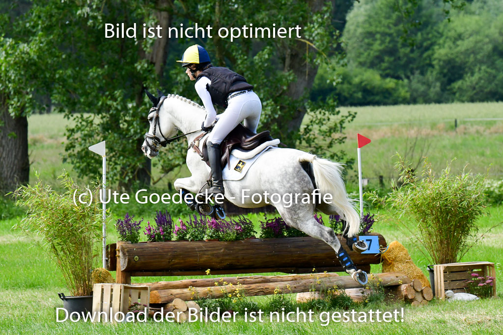 Goldene Schärpe Ponys in Löningen  4+5.6.22 | 04062022 - Gelände  2 Abt _690 
