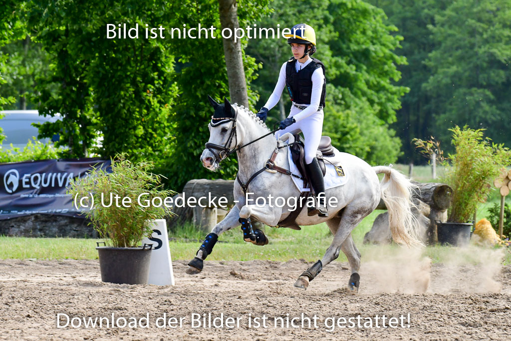 Goldene Schärpe Ponys in Löningen  4+5.6.22 | 04062022 - Gelände  2 Abt _697 