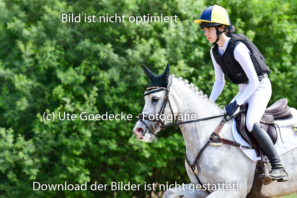 Goldene Schärpe Ponys in Löningen  4+5.6.22 | 04062022 - Gelände  2 Abt _698 