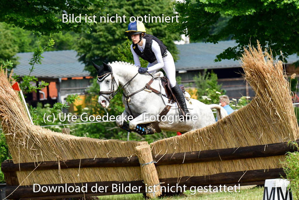 Goldene Schärpe Ponys in Löningen  4+5.6.22 | 04062022 - Gelände  2 Abt _701 