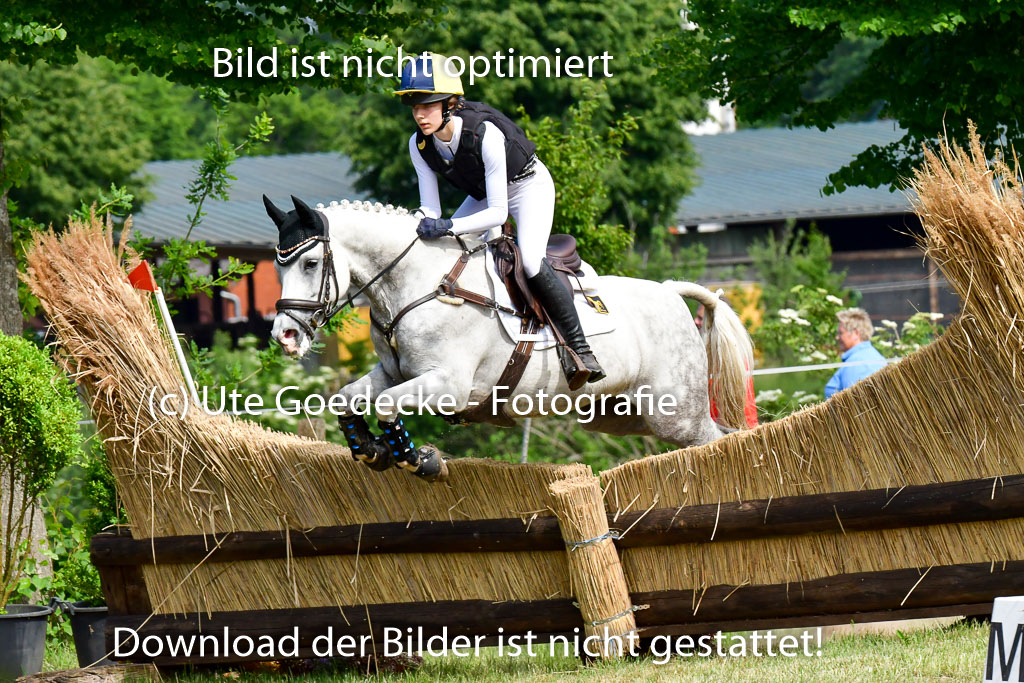 Goldene Schärpe Ponys in Löningen  4+5.6.22 | 04062022 - Gelände  2 Abt _702 