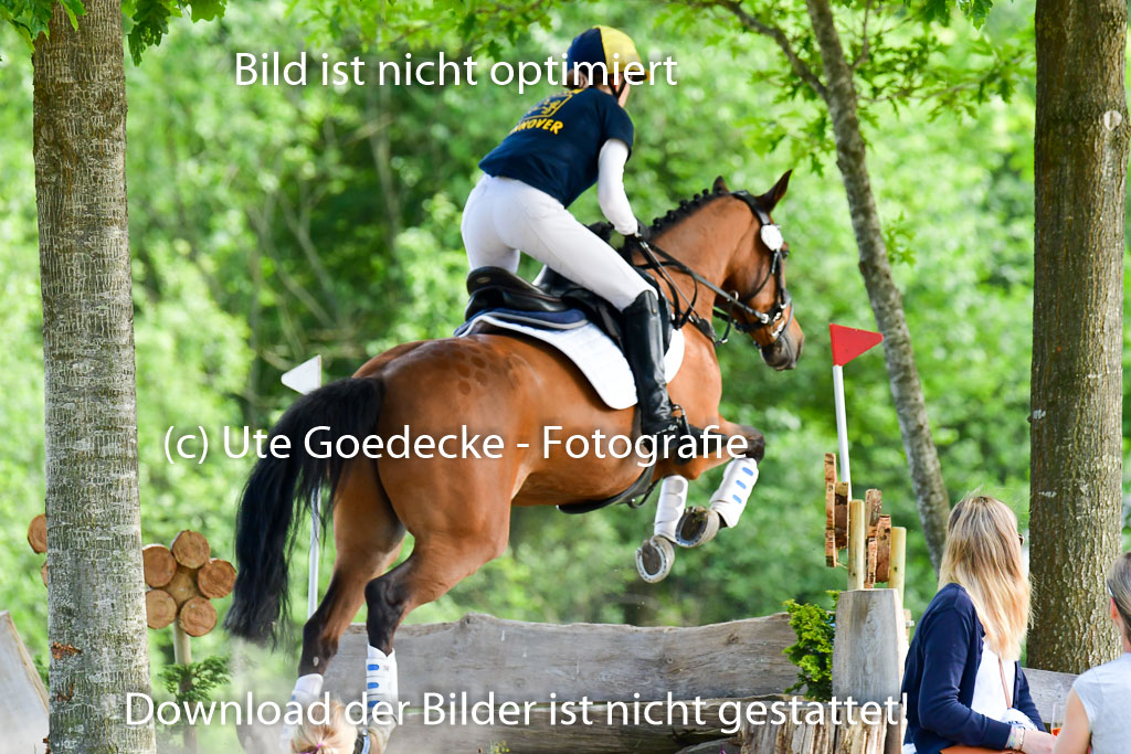 Goldene Schärpe Ponys in Löningen  4+5.6.22 | 04062022 - Gelände  2 Abt _705 
