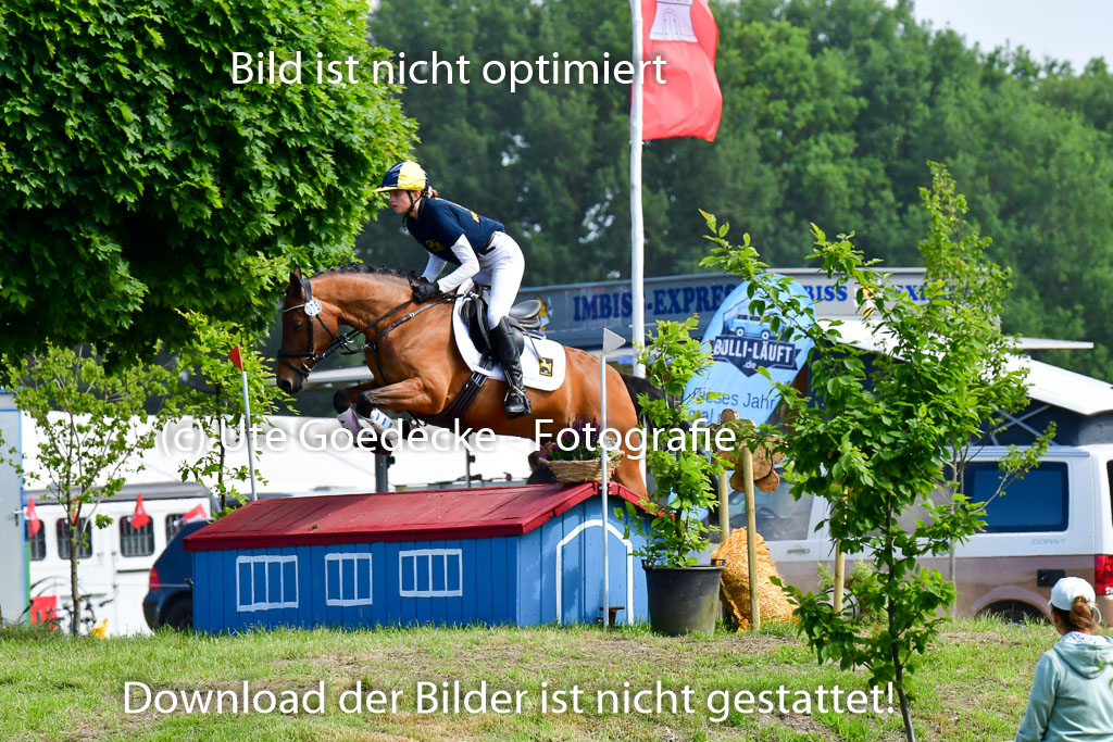 Goldene Schärpe Ponys in Löningen  4+5.6.22 | 04062022 - Gelände  2 Abt _706 