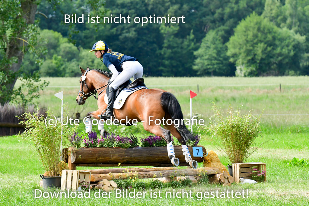 Goldene Schärpe Ponys in Löningen  4+5.6.22 | 04062022 - Gelände  2 Abt _707 