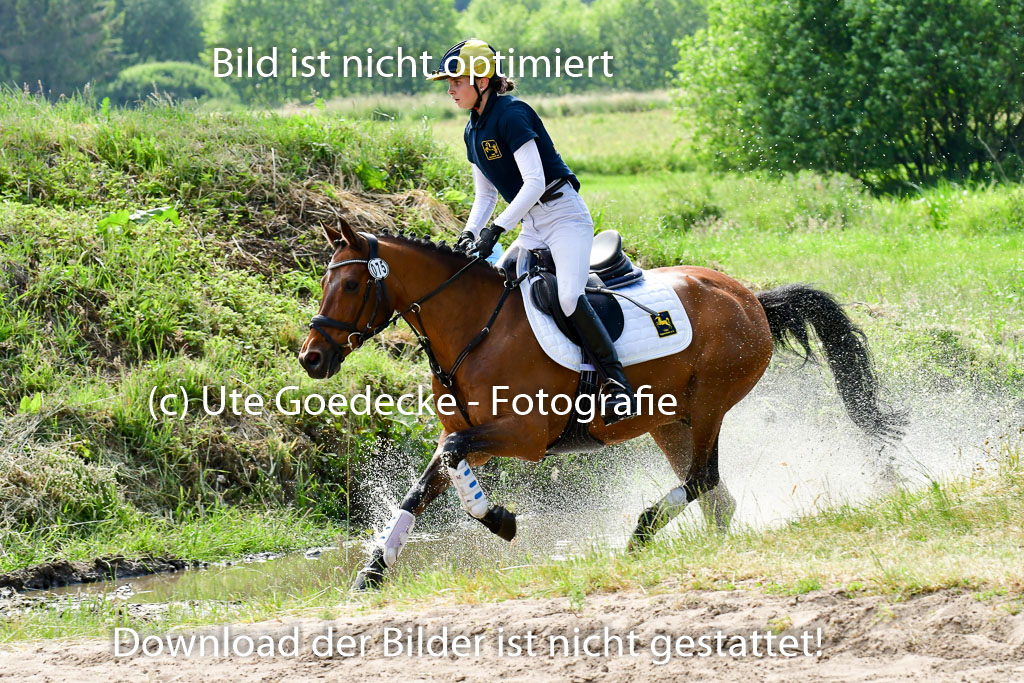 Goldene Schärpe Ponys in Löningen  4+5.6.22 | 04062022 - Gelände  2 Abt _708 