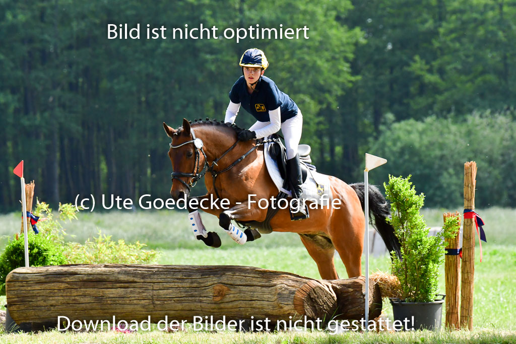 Goldene Schärpe Ponys in Löningen  4+5.6.22 | 04062022 - Gelände  2 Abt _709 