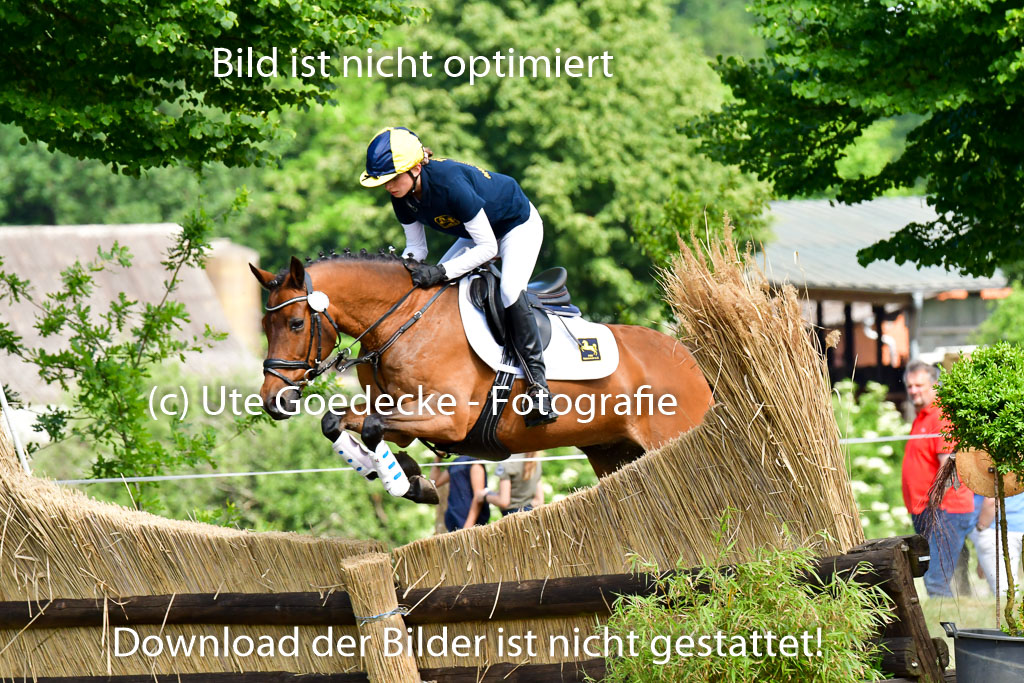 Goldene Schärpe Ponys in Löningen  4+5.6.22 | 04062022 - Gelände  2 Abt _711 