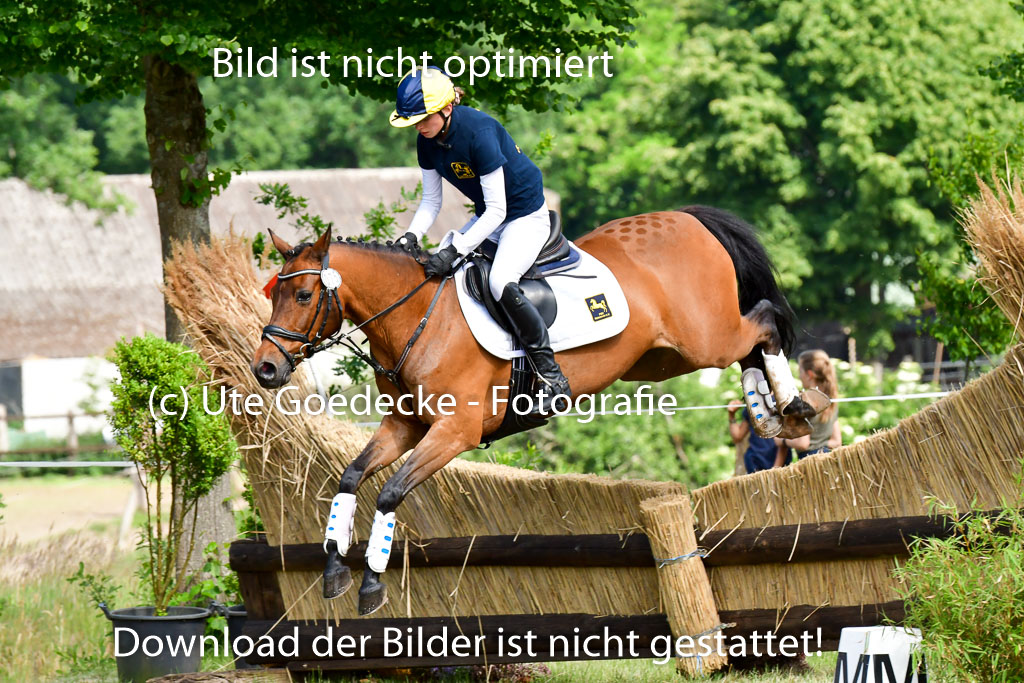 Goldene Schärpe Ponys in Löningen  4+5.6.22 | 04062022 - Gelände  2 Abt _712 