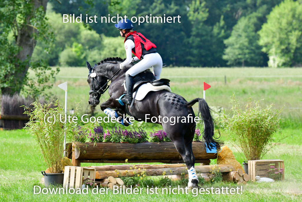 Goldene Schärpe Ponys in Löningen  4+5.6.22 | 04062022 - Gelände  2 Abt _715 