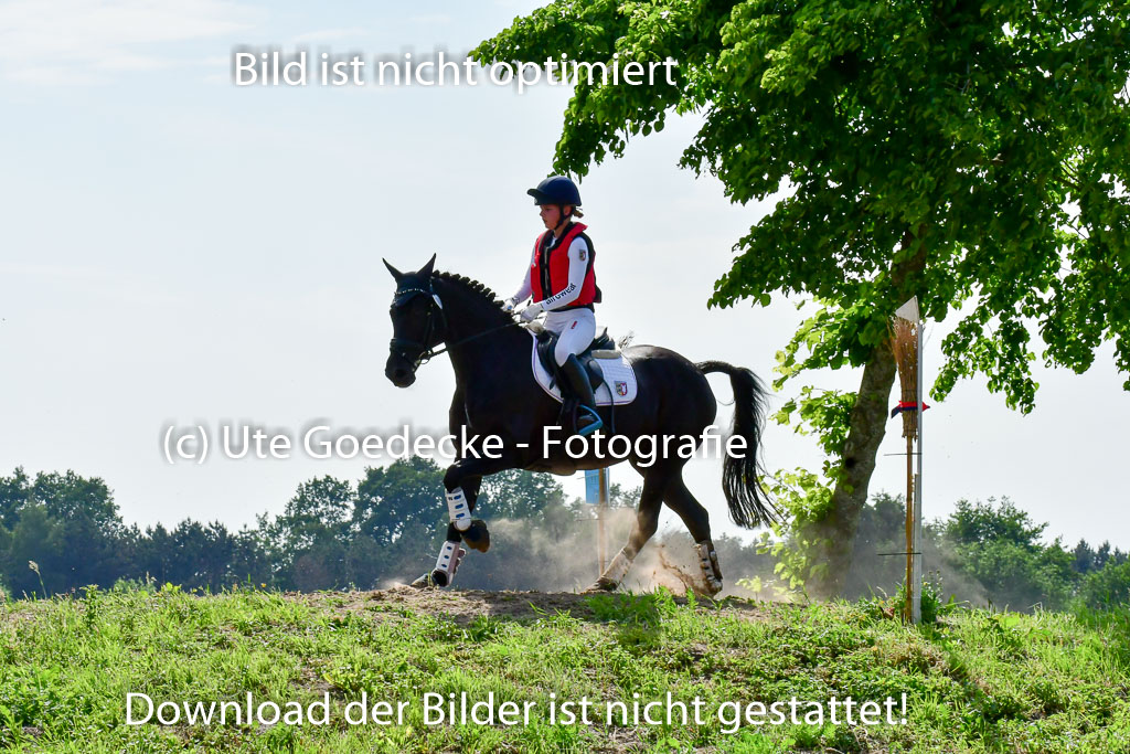 Goldene Schärpe Ponys in Löningen  4+5.6.22 | 04062022 - Gelände  2 Abt _721 