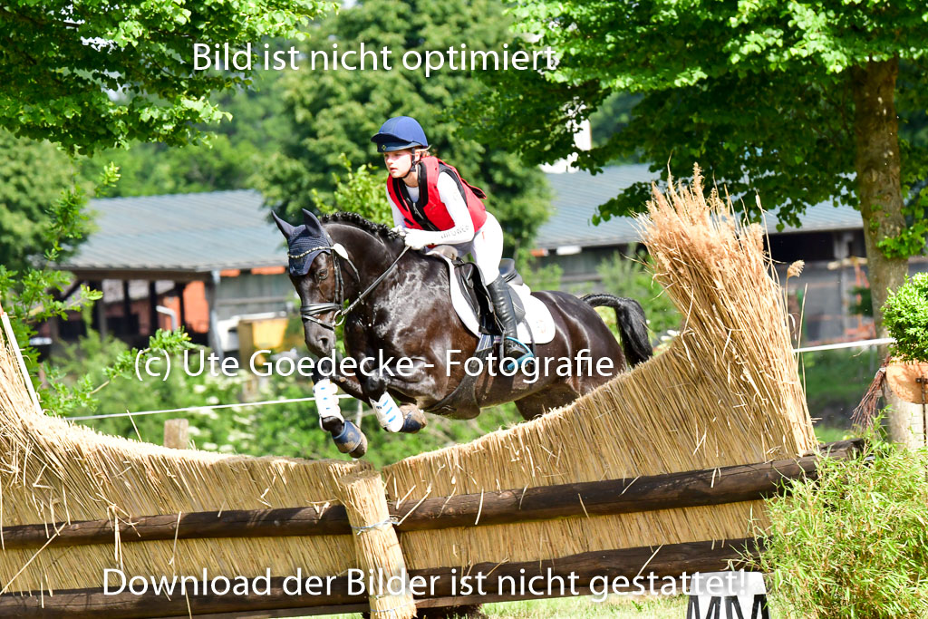 Goldene Schärpe Ponys in Löningen  4+5.6.22 | 04062022 - Gelände  2 Abt _723 