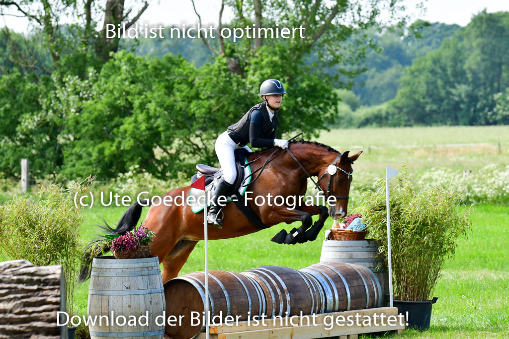 Goldene Schärpe Ponys in Löningen  4+5.6.22 | 04062022 - Gelände  2 Abt _726 