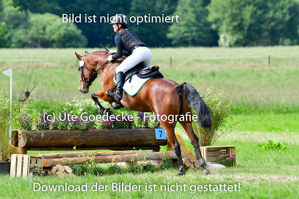 Goldene Schärpe Ponys in Löningen  4+5.6.22 | 04062022 - Gelände  2 Abt _729 