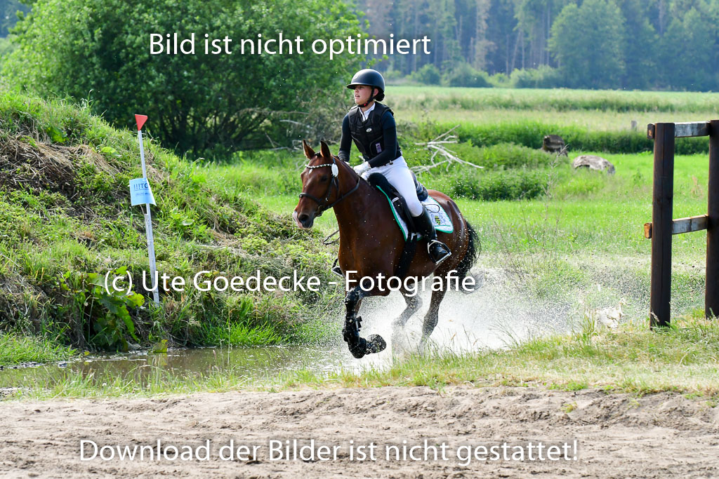 Goldene Schärpe Ponys in Löningen  4+5.6.22 | 04062022 - Gelände  2 Abt _730 
