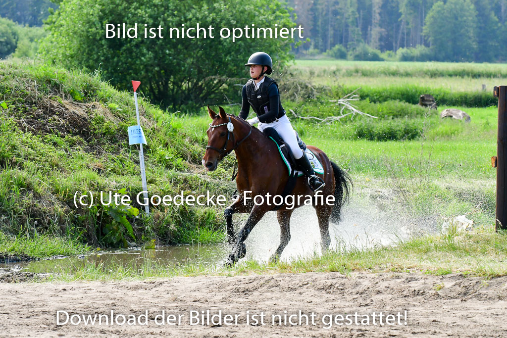 Goldene Schärpe Ponys in Löningen  4+5.6.22 | 04062022 - Gelände  2 Abt _731 