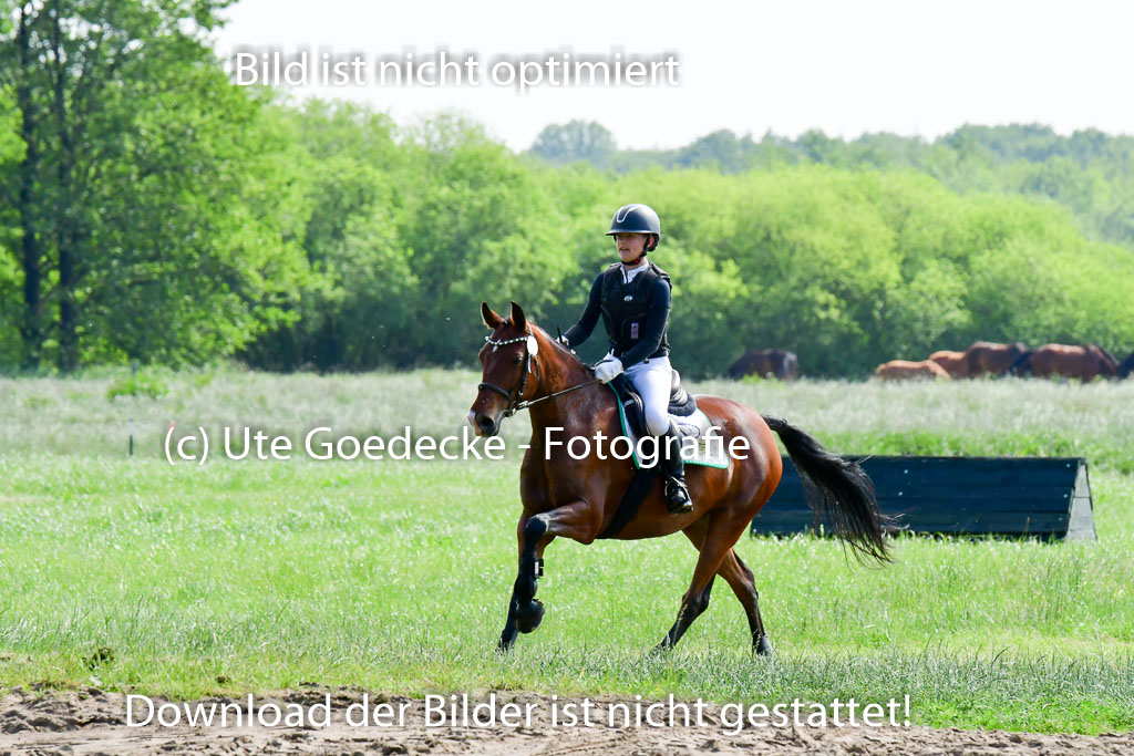 Goldene Schärpe Ponys in Löningen  4+5.6.22 | 04062022 - Gelände  2 Abt _732 