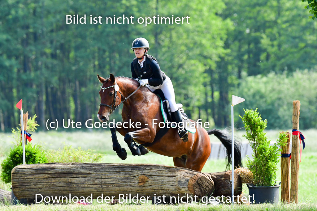 Goldene Schärpe Ponys in Löningen  4+5.6.22 | 04062022 - Gelände  2 Abt _733 