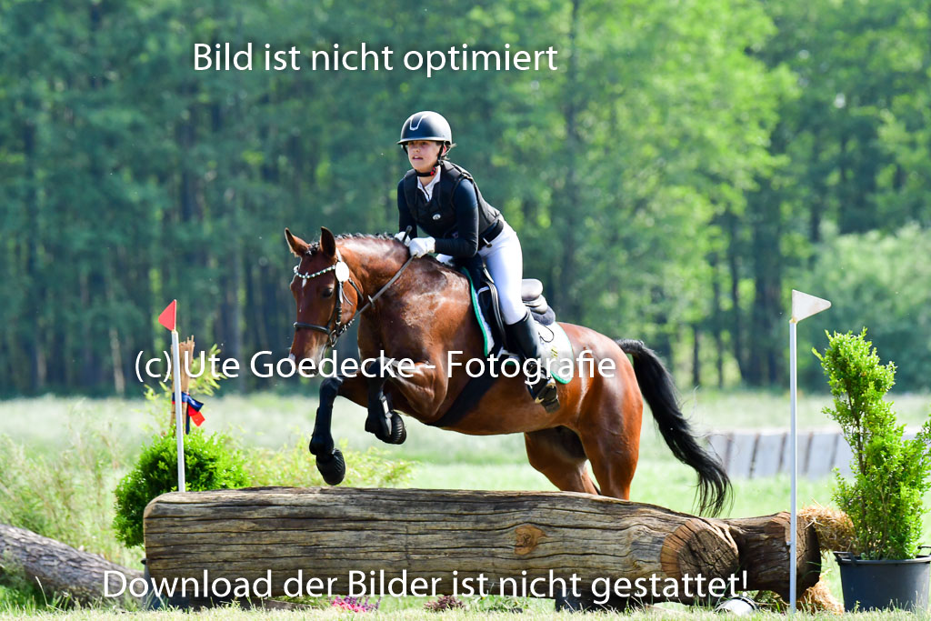 Goldene Schärpe Ponys in Löningen  4+5.6.22 | 04062022 - Gelände  2 Abt _734 