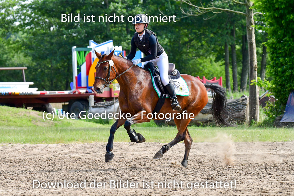 Goldene Schärpe Ponys in Löningen  4+5.6.22 | 04062022 - Gelände  2 Abt _736 