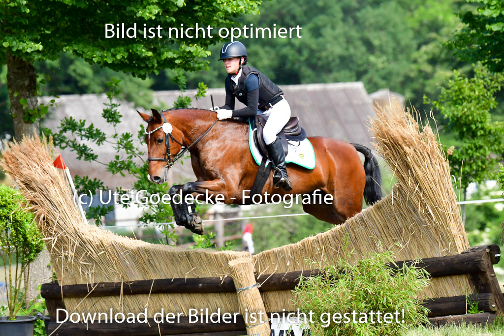 Goldene Schärpe Ponys in Löningen  4+5.6.22 | 04062022 - Gelände  2 Abt _739 