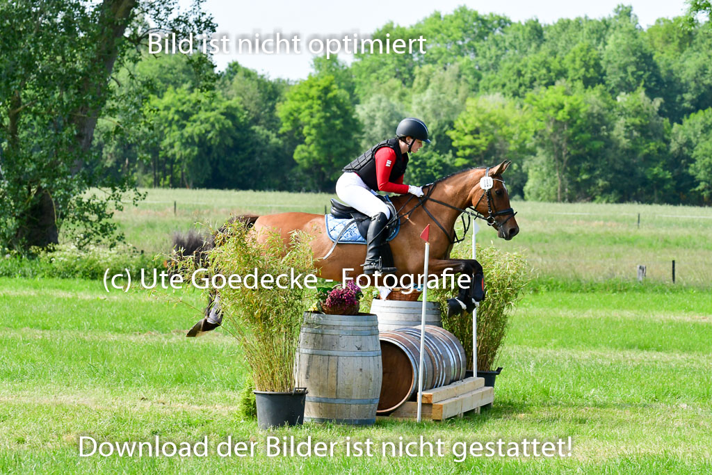 Goldene Schärpe Ponys in Löningen  4+5.6.22 | 04062022 - Gelände  2 Abt _742 