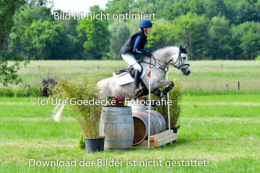 Goldene Schärpe Ponys in Löningen  4+5.6.22 | 04062022 - Gelände  2 Abt _745 