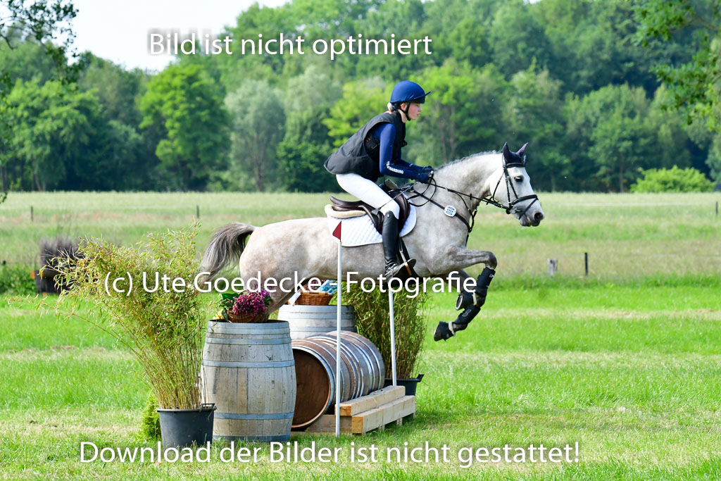 Goldene Schärpe Ponys in Löningen  4+5.6.22 | 04062022 - Gelände  2 Abt _746 