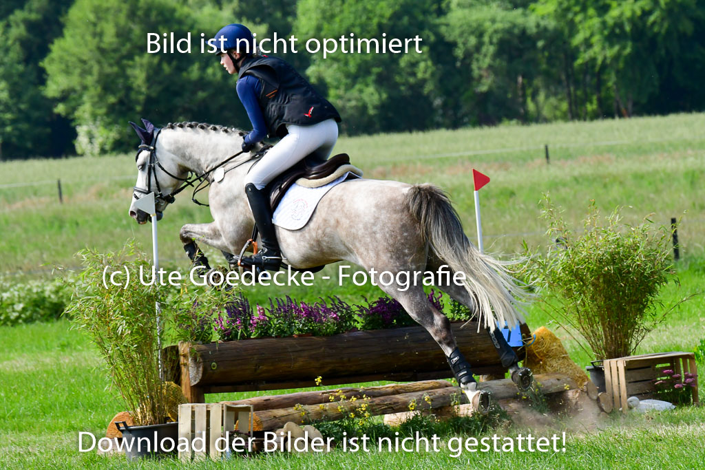 Goldene Schärpe Ponys in Löningen  4+5.6.22 | 04062022 - Gelände  2 Abt _749 