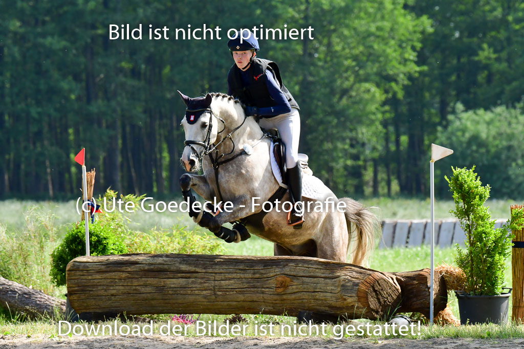 Goldene Schärpe Ponys in Löningen  4+5.6.22 | 04062022 - Gelände  2 Abt _753 
