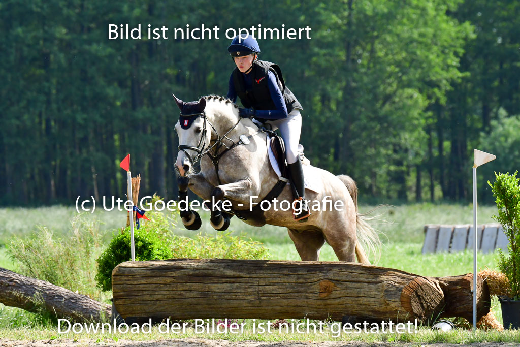 Goldene Schärpe Ponys in Löningen  4+5.6.22 | 04062022 - Gelände  2 Abt _754 