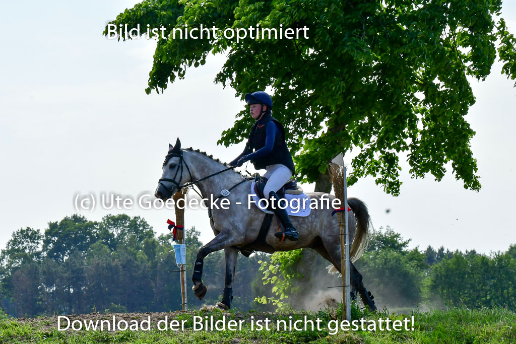 Goldene Schärpe Ponys in Löningen  4+5.6.22 | 04062022 - Gelände  2 Abt _757 