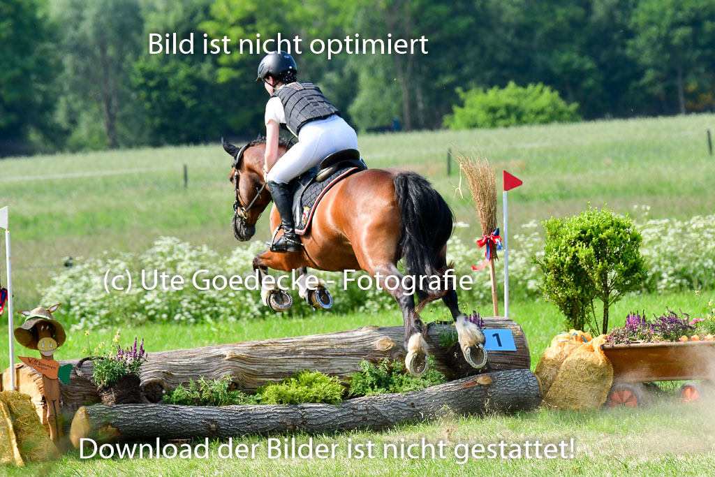 Goldene Schärpe Ponys in Löningen  4+5.6.22 | 04062022 - Gelände  2 Abt _762 