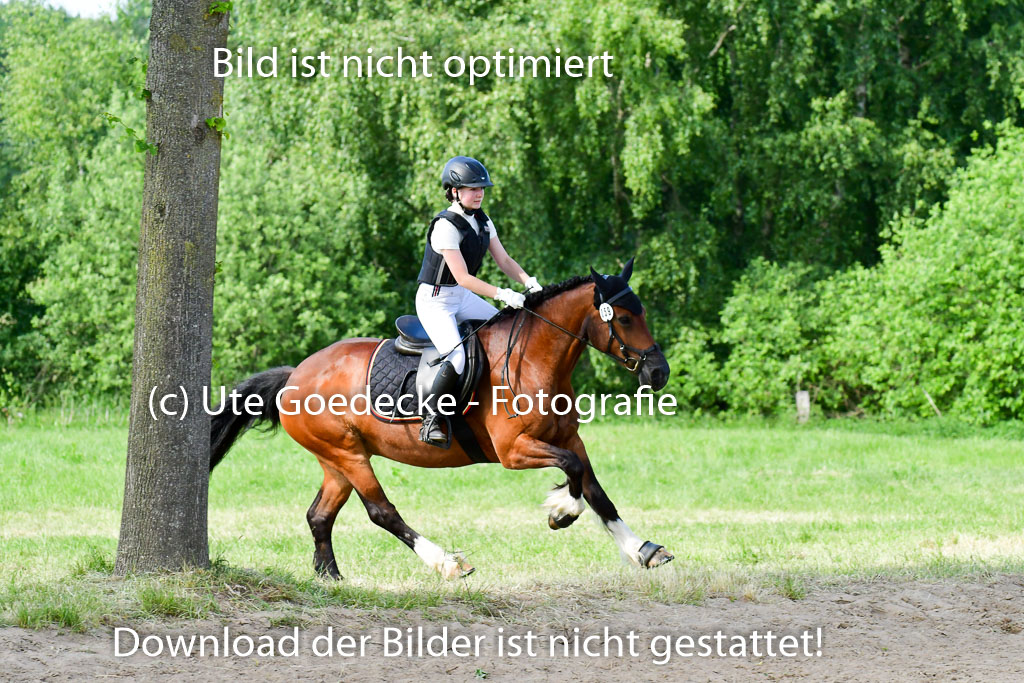 Goldene Schärpe Ponys in Löningen  4+5.6.22 | 04062022 - Gelände  2 Abt _763 