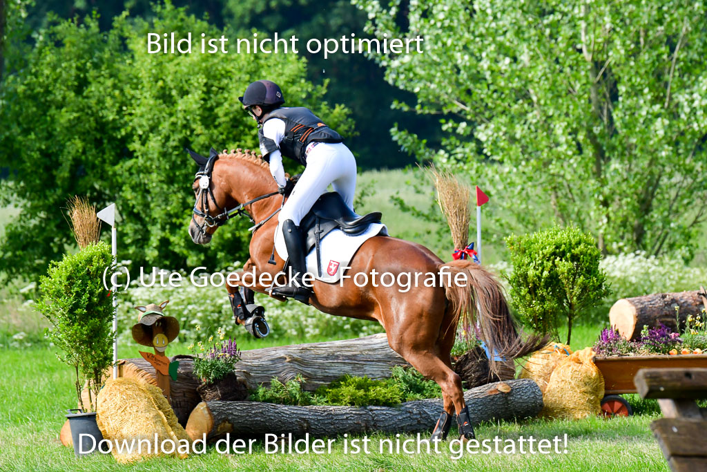 Goldene Schärpe Ponys in Löningen  4+5.6.22 | 04062022 - Gelände  2 Abt _768 