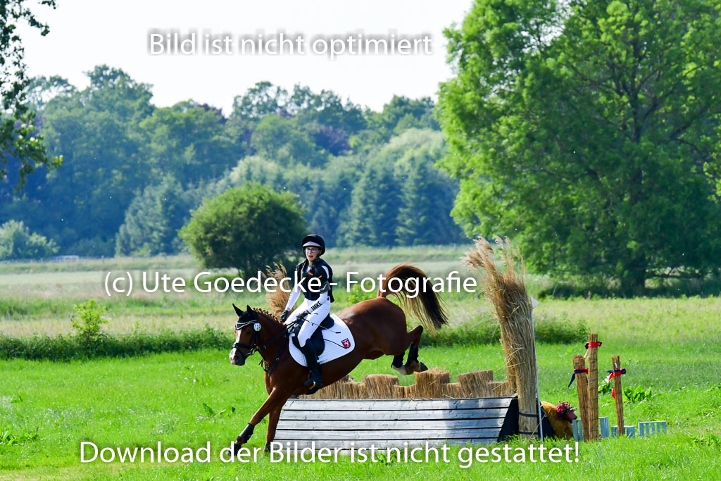 Goldene Schärpe Ponys in Löningen  4+5.6.22 | 04062022 - Gelände  2 Abt _769 
