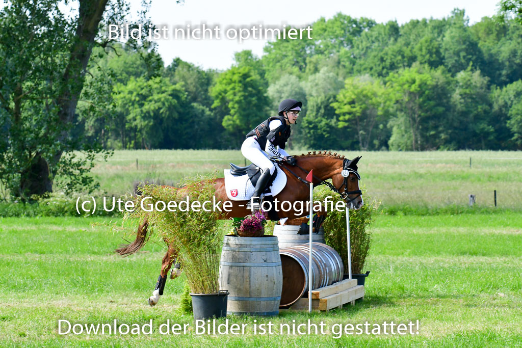 Goldene Schärpe Ponys in Löningen  4+5.6.22 | 04062022 - Gelände  2 Abt _770 