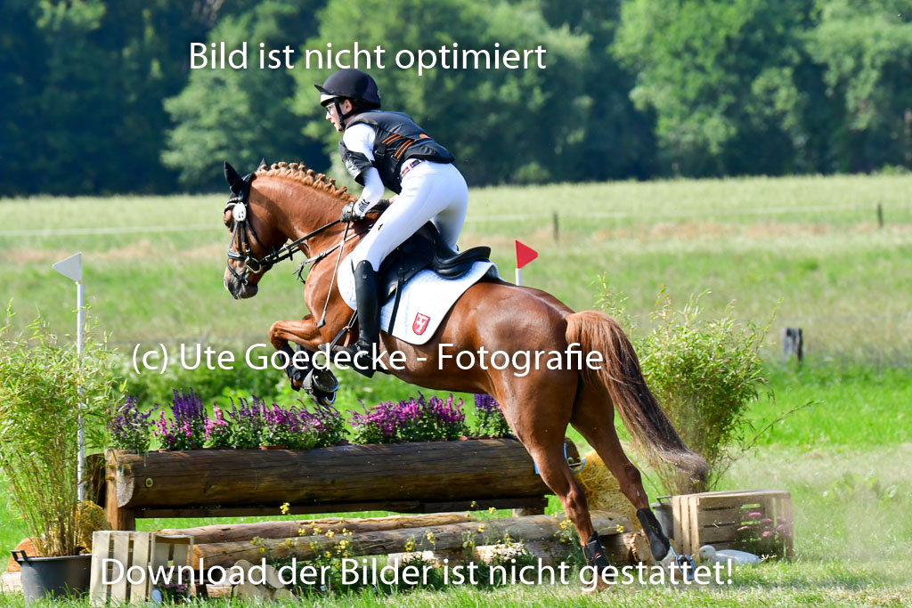 Goldene Schärpe Ponys in Löningen  4+5.6.22 | 04062022 - Gelände  2 Abt _772 