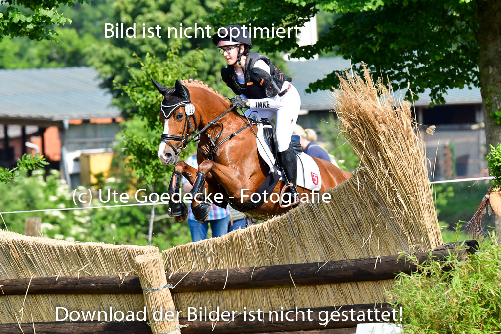 Goldene Schärpe Ponys in Löningen  4+5.6.22 | 04062022 - Gelände  2 Abt _779 