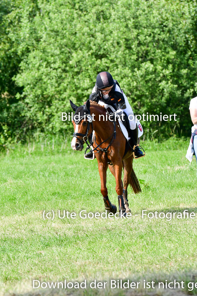 Goldene Schärpe Ponys in Löningen  4+5.6.22 | 04062022 - Gelände  2 Abt _781 